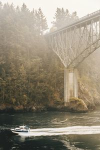 Bridge over river in forest