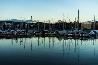 Sailboats moored at harbor against sky