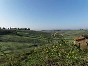 Scenic view of landscape against clear sky