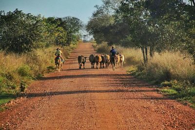 People walking on road