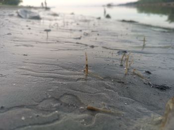 Close-up of wet sand on beach