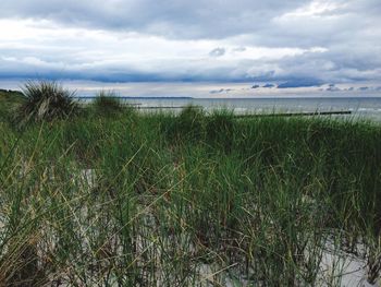 Scenic view of sea against cloudy sky