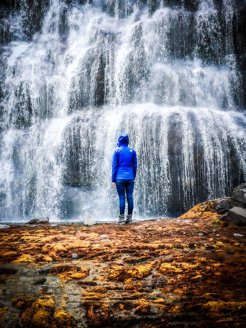 FULL LENGTH REAR VIEW OF MAN STANDING IN FOREST