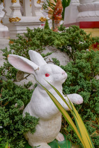 Close-up of white statue against trees