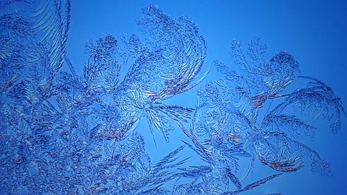 Close-up of spider web against blue sky
