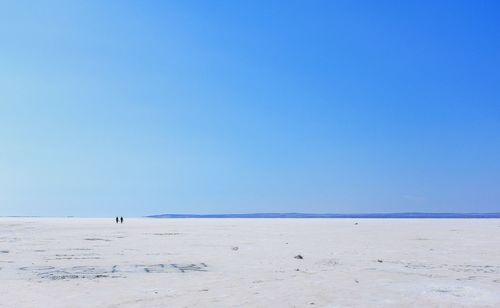 Scenic view of beach against blue sky