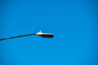 Low angle view of bird perching on street light against blue sky