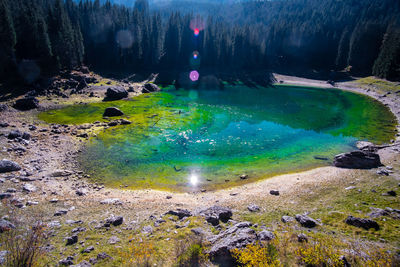 Scenic view of lake by trees