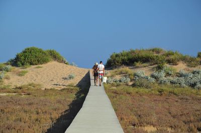 Narrow walkway along plants