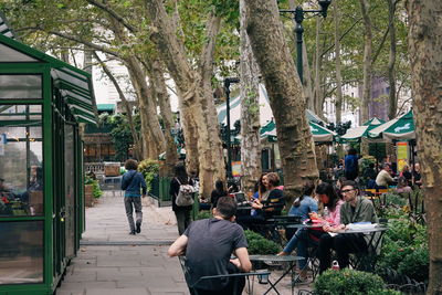 People on street amidst trees in city