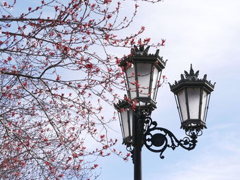 Low angle view of street light against sky