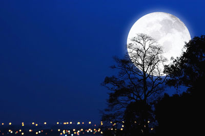 Low angle view of silhouette trees against sky at night