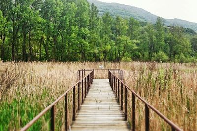 View of wooden footbridge