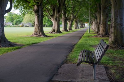 Empty bench by footpath in park