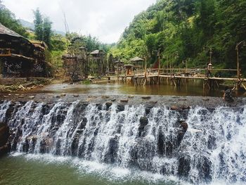 Scenic view of waterfall in forest