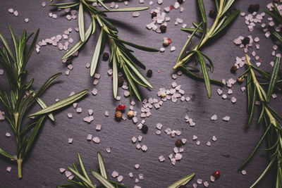 High angle view of leaves on table