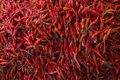 Full frame shot of dried chili peppers