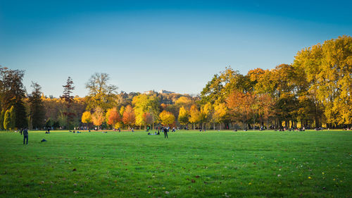 Scenic view of grassy field against clear sky