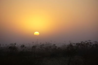 Silhouette trees on field against orange sky