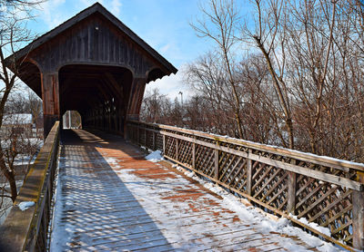 Bridge leading towards bare trees in winter