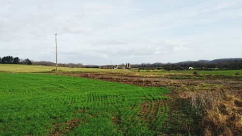 Scenic view of field against sky