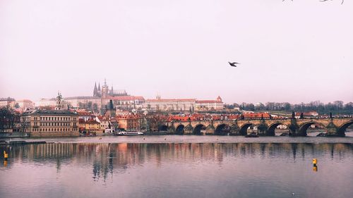 Birds flying over river with city in background