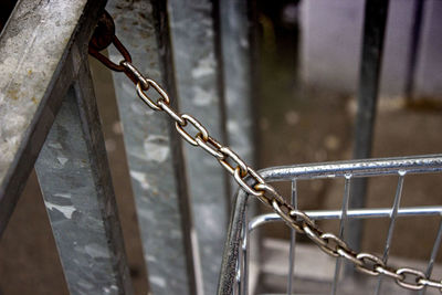 Close-up of padlock on metal gate