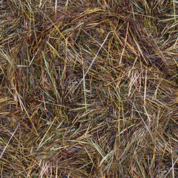 Full frame shot of dry grass on field