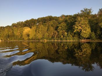 Reflection of trees in water