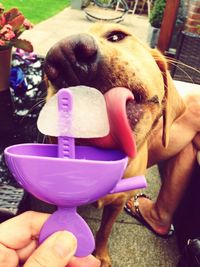 Close-up of woman holding camera