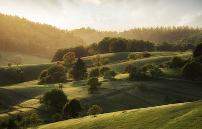 Scenic view of landscape against sky