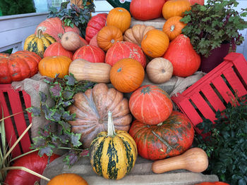 High angle view of pumpkins in market