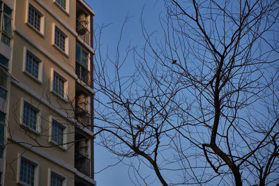 Low angle view of bare tree against sky