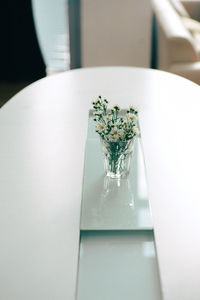 Close-up of white plate on table