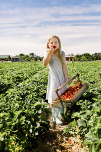 Smiling girl eating a strawberry in a strawberry field