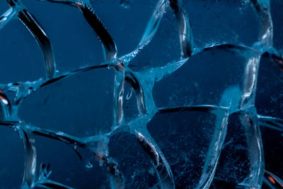 Close-up of ice crystals against blue background