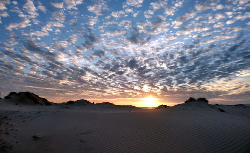 Scenic view of beach against sky during sunset