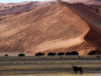 Scenic view of desert against cloudy sky