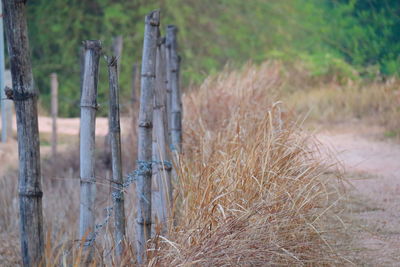 Wooden fence on field