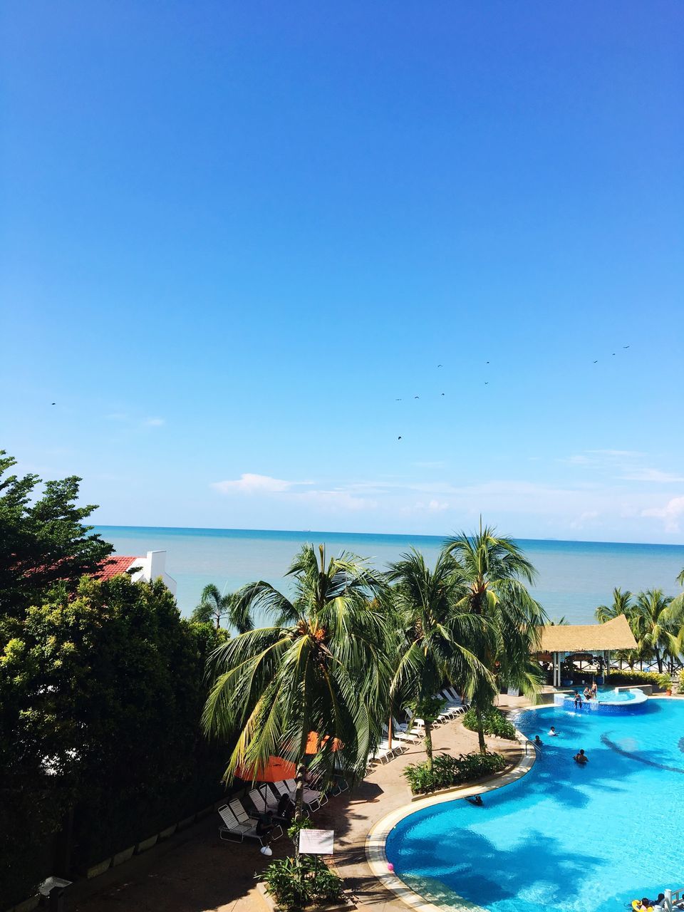 sea, blue, scenics, palm tree, nature, water, sky, tranquility, horizon over water, beauty in nature, tranquil scene, tree, clear sky, beach, sunlight, hotel, no people, tropical climate, vacations, outdoors, day, swimming pool, infinity pool, architecture