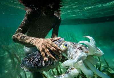 Man swimming in sea