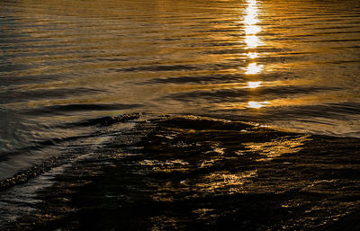 Reflection of trees in water