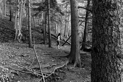 Full frame shot of tree