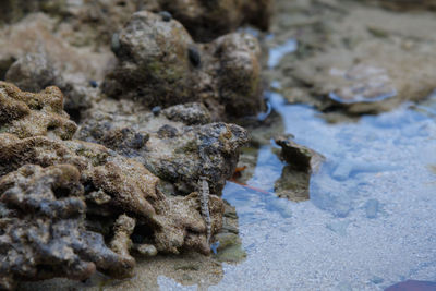 Close-up of rocks