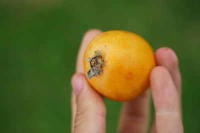 Close-up of hand holding apple