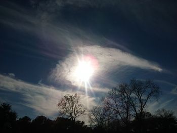 Low angle view of trees against sky