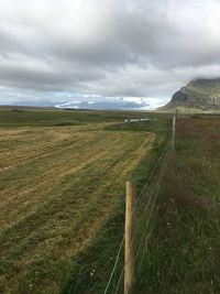 Scenic view of field against sky