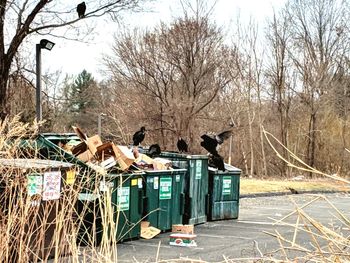 Garbage bin against bare trees