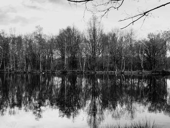 Reflection of trees in lake against sky
