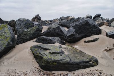 Wet rocks on beach against sky